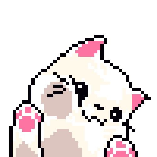 Cat contemplating broken haikus